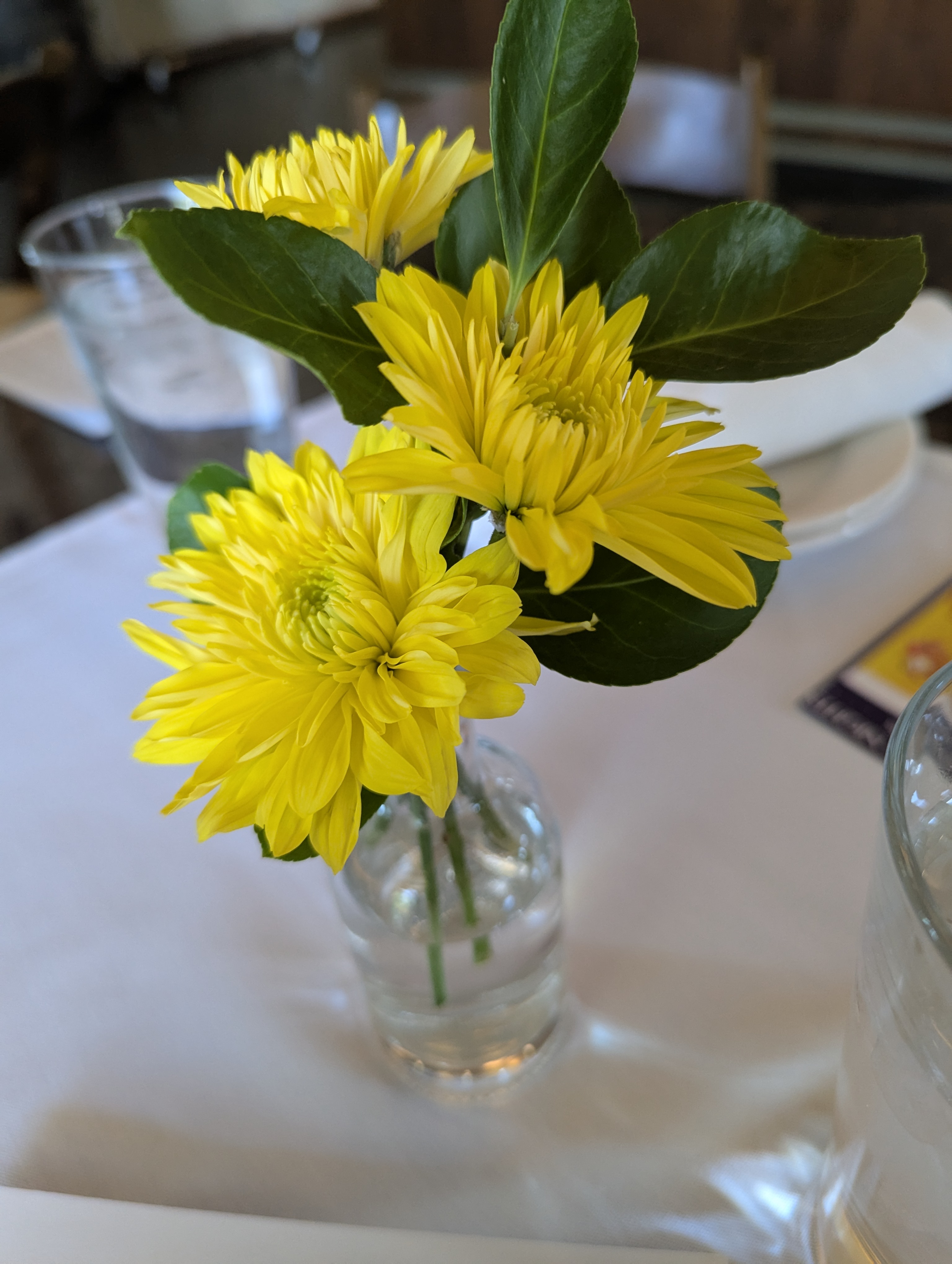 27th anniversary, wedding, anniversary, Balistreri